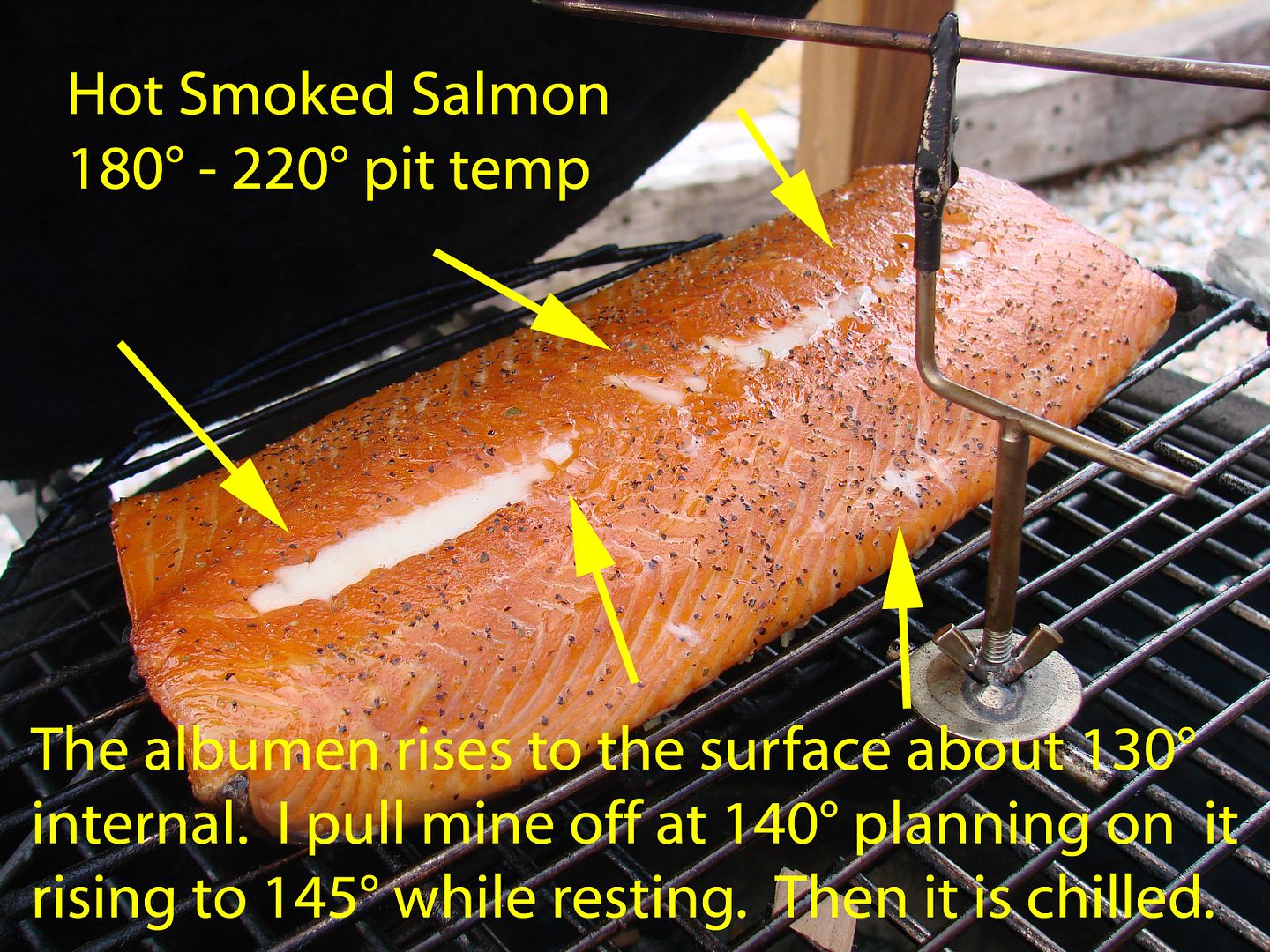 Smoked fish pellicle formation? — Big Green Egg Forum